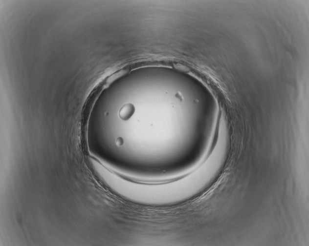 X0000112111165200908181341