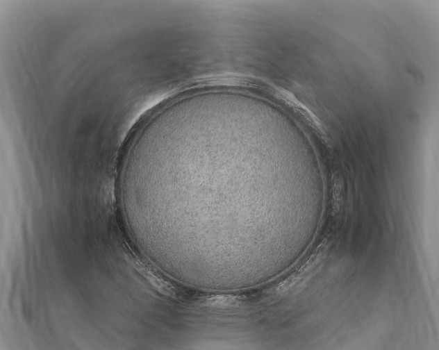 X0000112111166200908181341