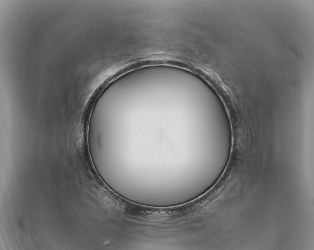 X0000112111167200908181341