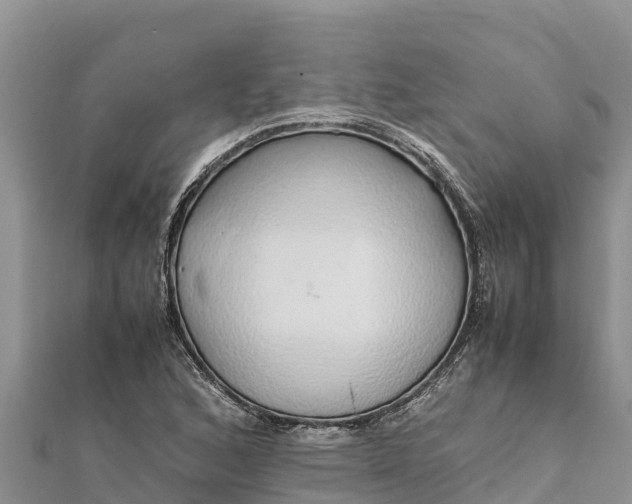 X0000112111168200908181341