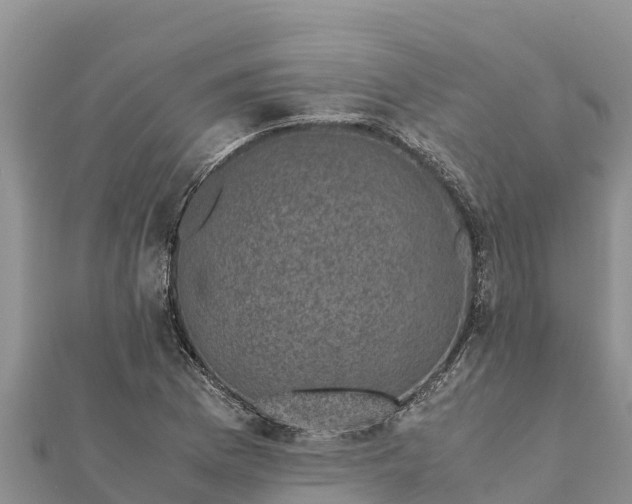 X0000112111169200908181341