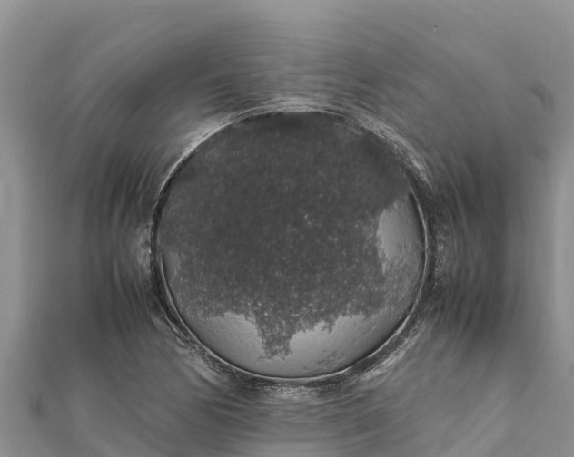 X0000112111170200908181341