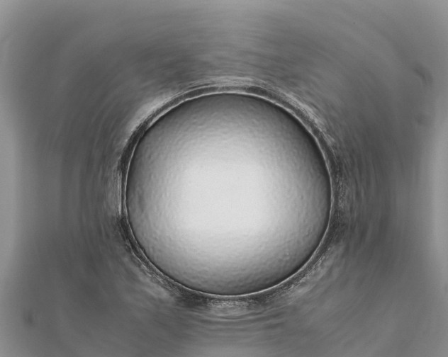 X0000112111171200908181341