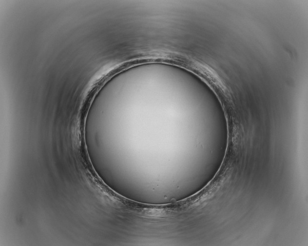 X0000112111172200908181341