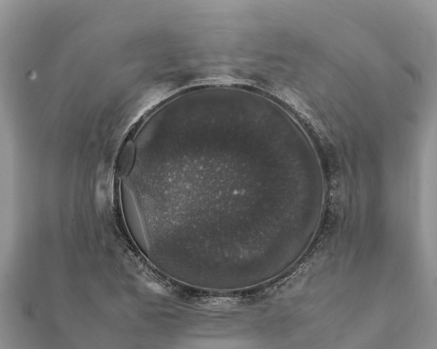 X0000112111173200908181341