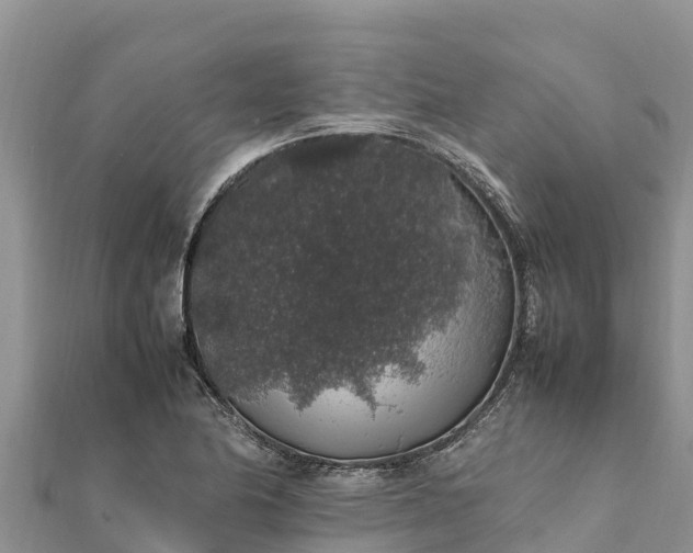 X0000112111174200908181341