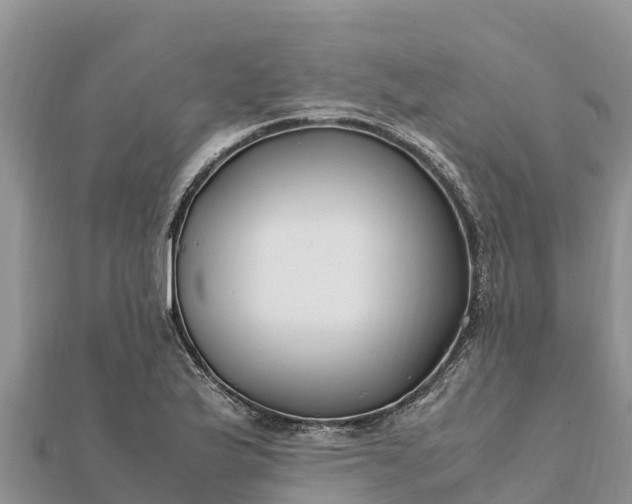 X0000112111175200908181341