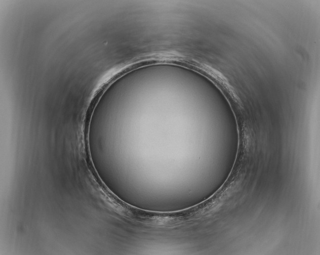 X0000112111176200908181341