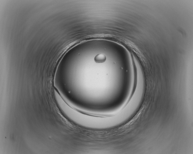 X0000112111177200908181341