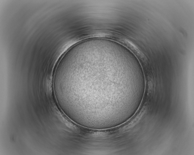 X0000112111178200908181341