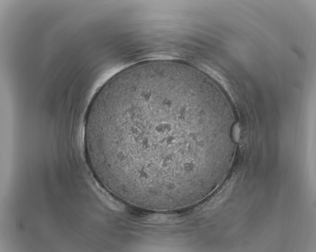 X0000112111179200908181341