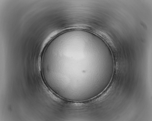 X0000112111180200908181341