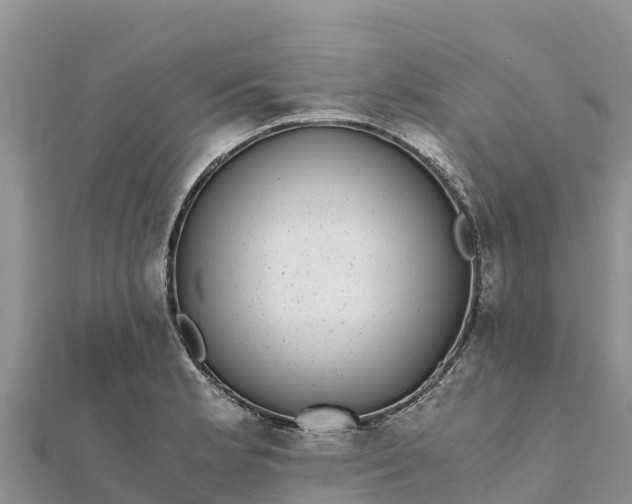 X0000112111181200908181341