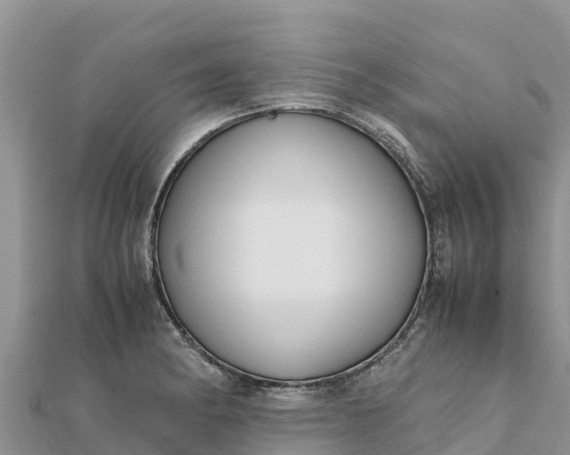 X0000112111182200908181341