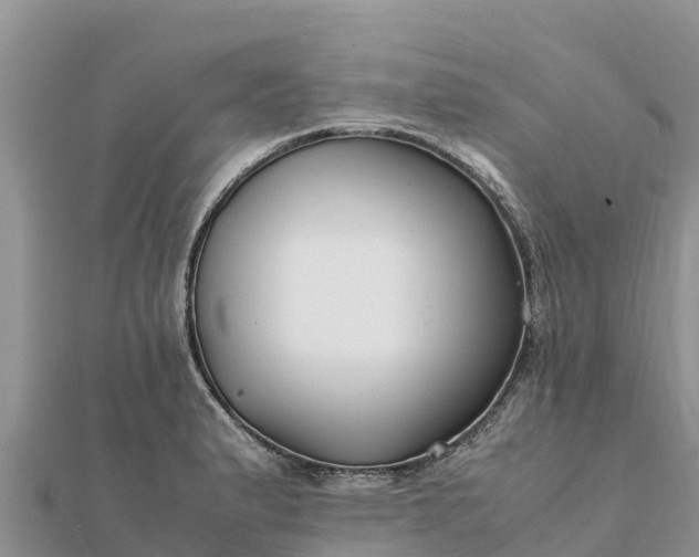 X0000112111183200908181341