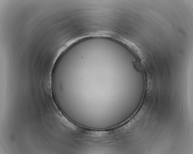 X0000112111184200908181341