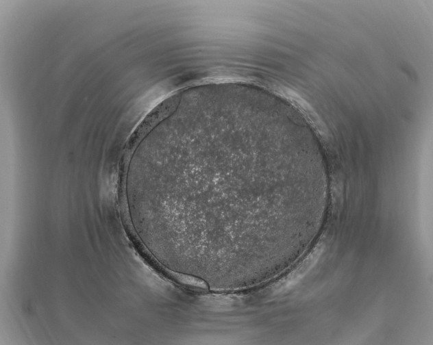 X0000112111185200908181341