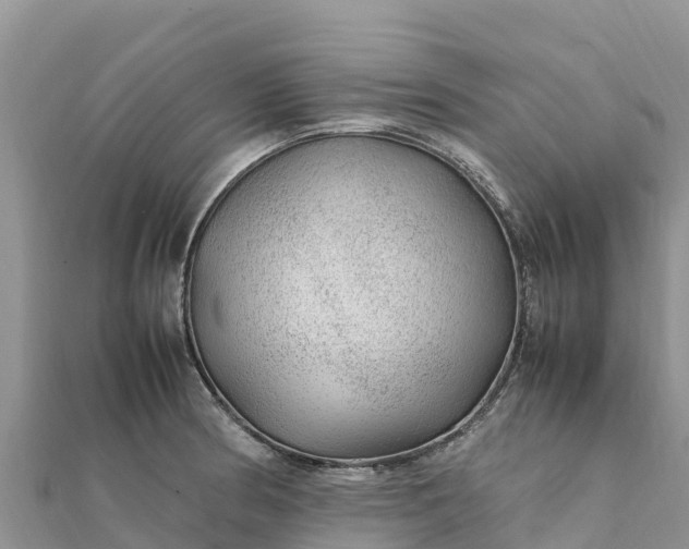 X0000112111186200908181341