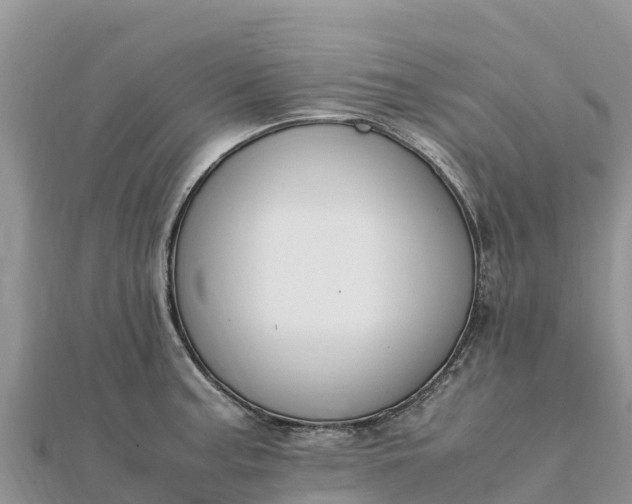 X0000112111187200908181341