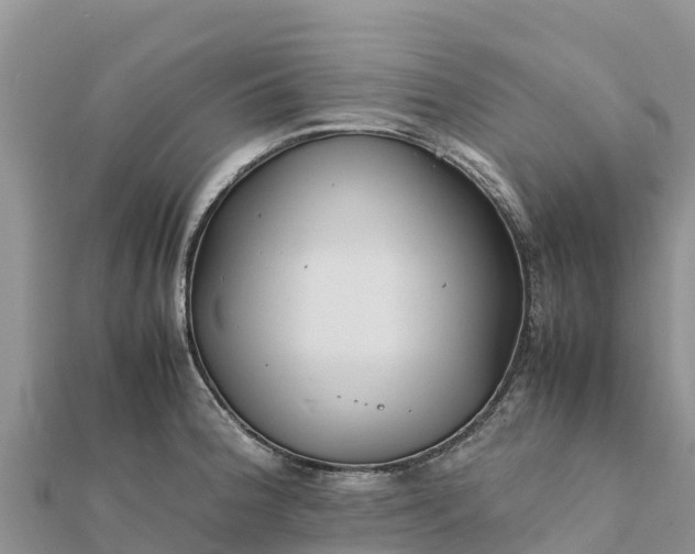 X0000112111188200908181341