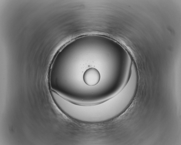 X0000112111189200908181341