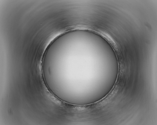 X0000112111190200908181341