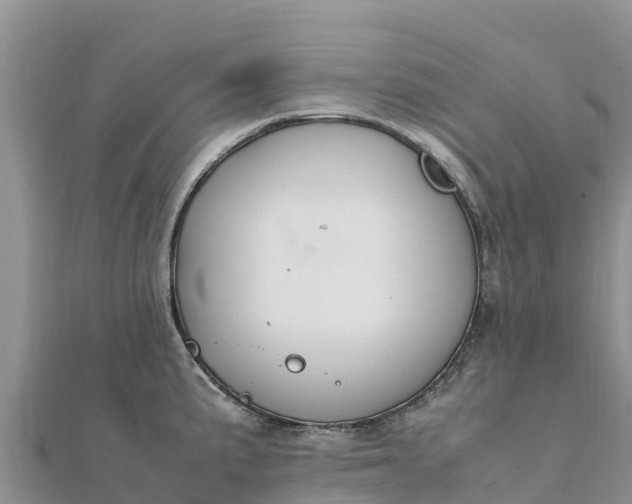 X0000112111191200908181341