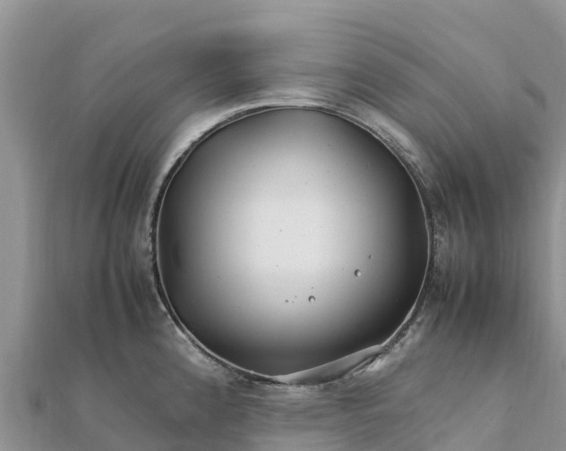 X0000112111192200908181341