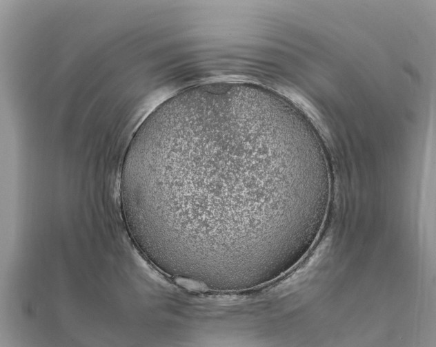 X0000112111193200908181341