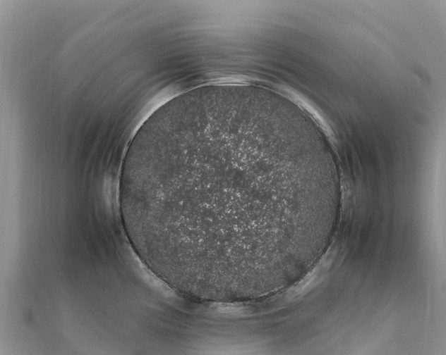 X0000112111194200908181341