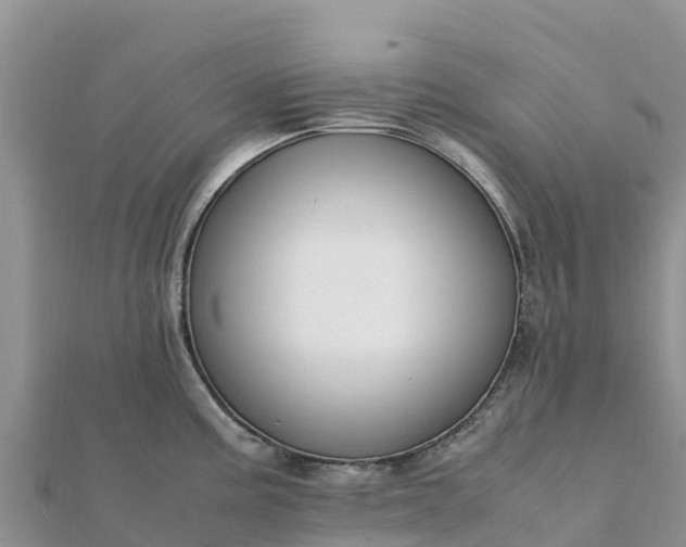 X0000112111195200908181341