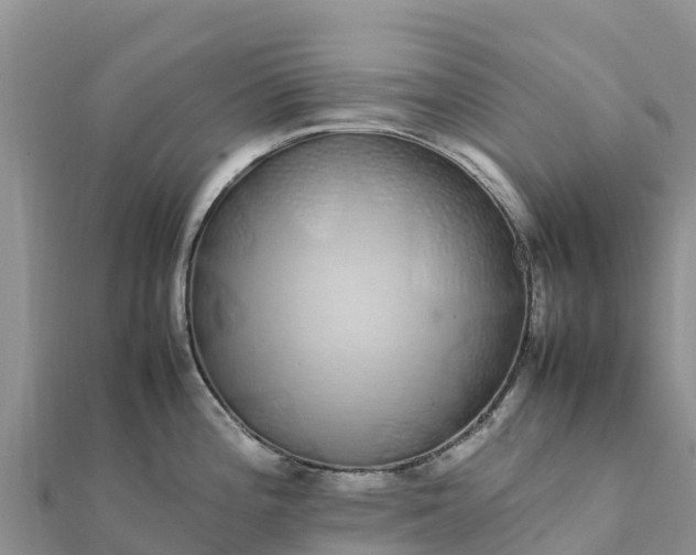 X0000112111196200908181341