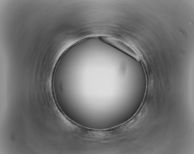 X0000112111197200908181341