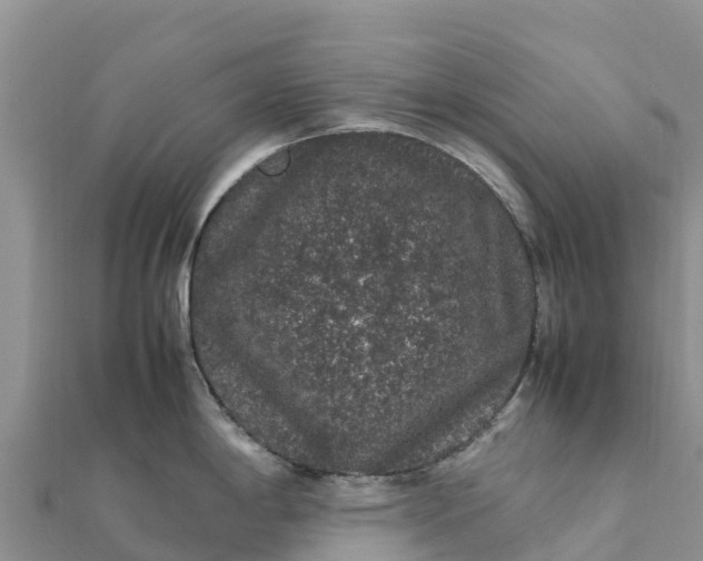 X0000112111198200908181341