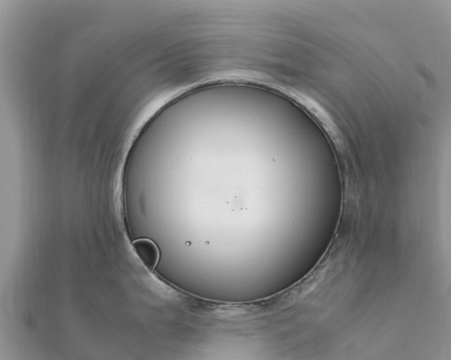 X0000112111199200908181341