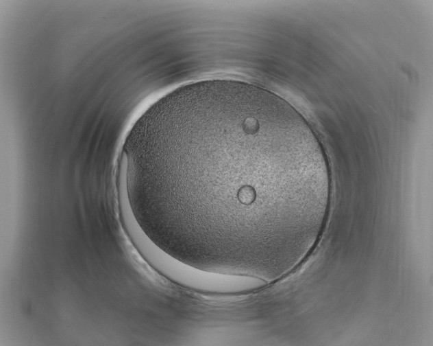 X0000112111200200908181341