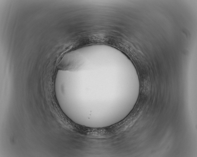 X0000112111201200908181340