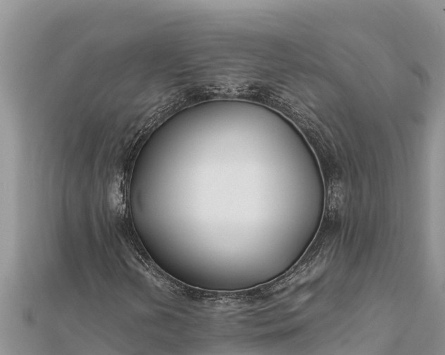 X0000112111202200908181340