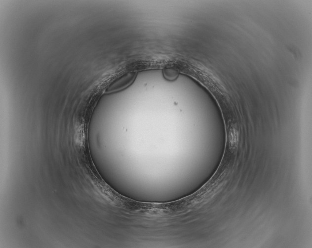 X0000112111204200908181340