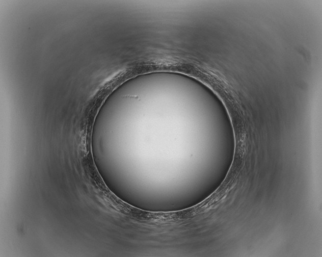 X0000112111205200908181340