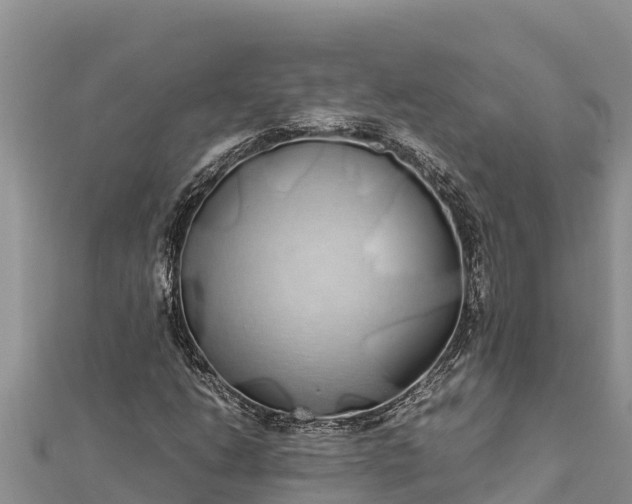 X0000112111206200908181340