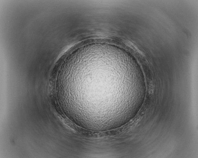 X0000112111208200908181340