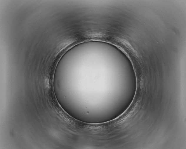 X0000112111209200908181340