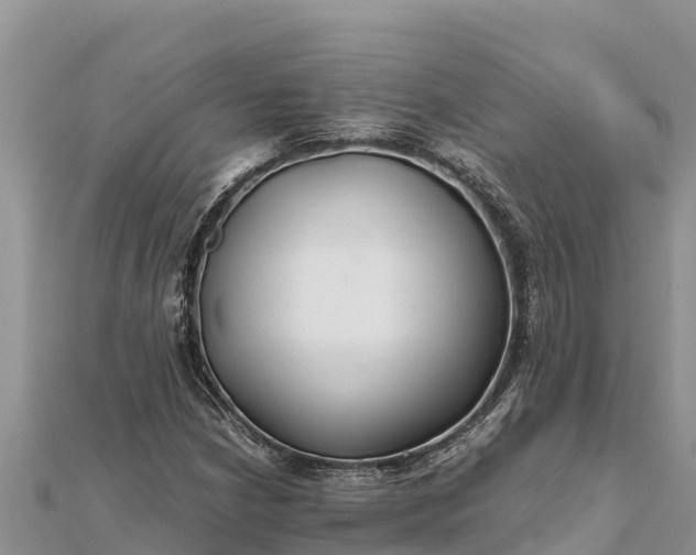 X0000112111210200908181340