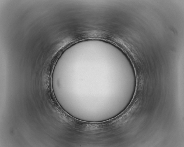 X0000112111211200908181340