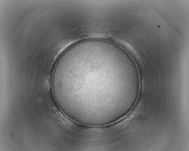 X0000112111212200908181340