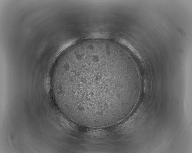 X0000112111213200908181340