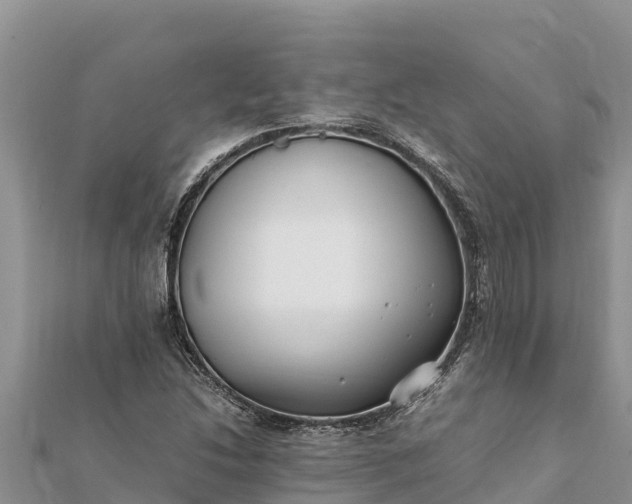 X0000112111214200908181340