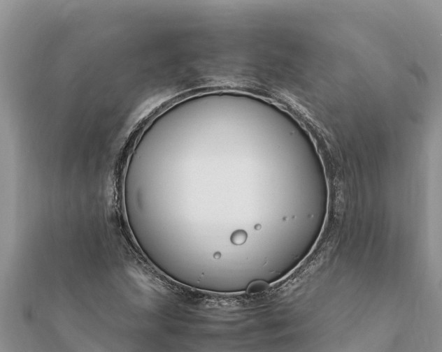 X0000112111215200908181340