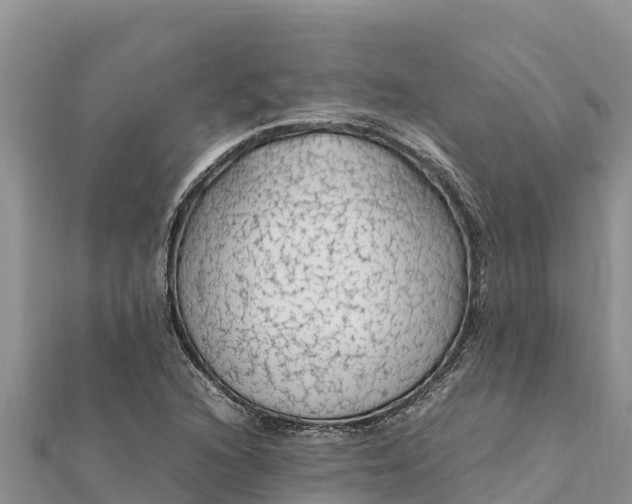 X0000112111216200908181340